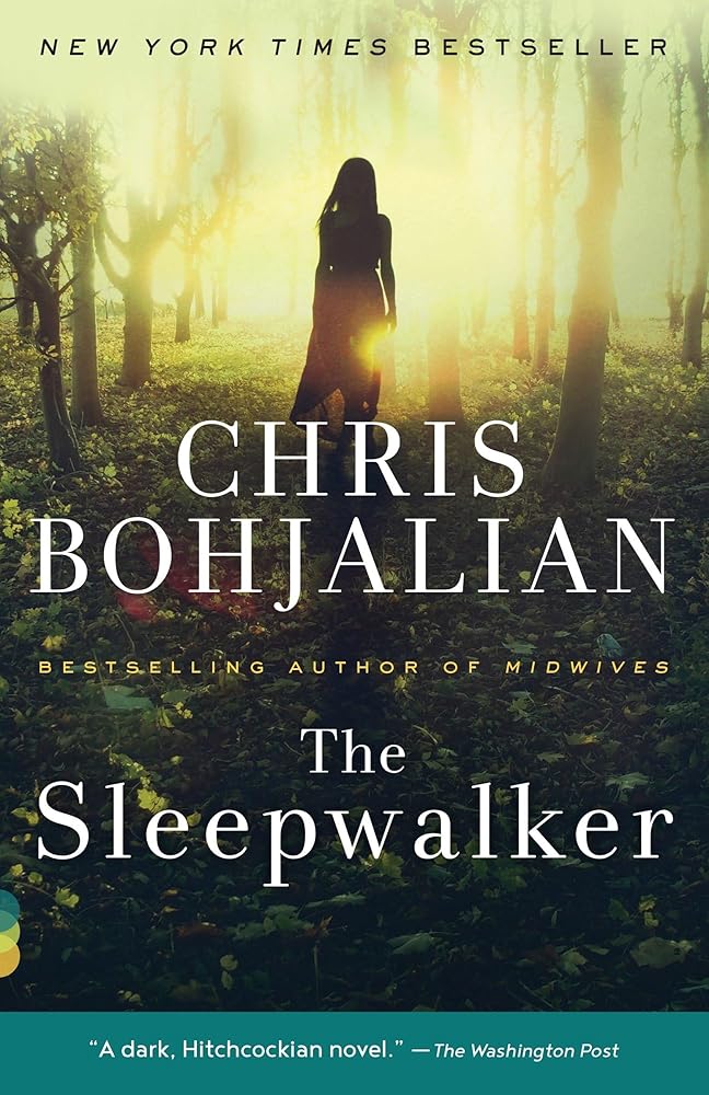 The Sleepwalker: A Novel (Vintage Contemporaries) cover image
