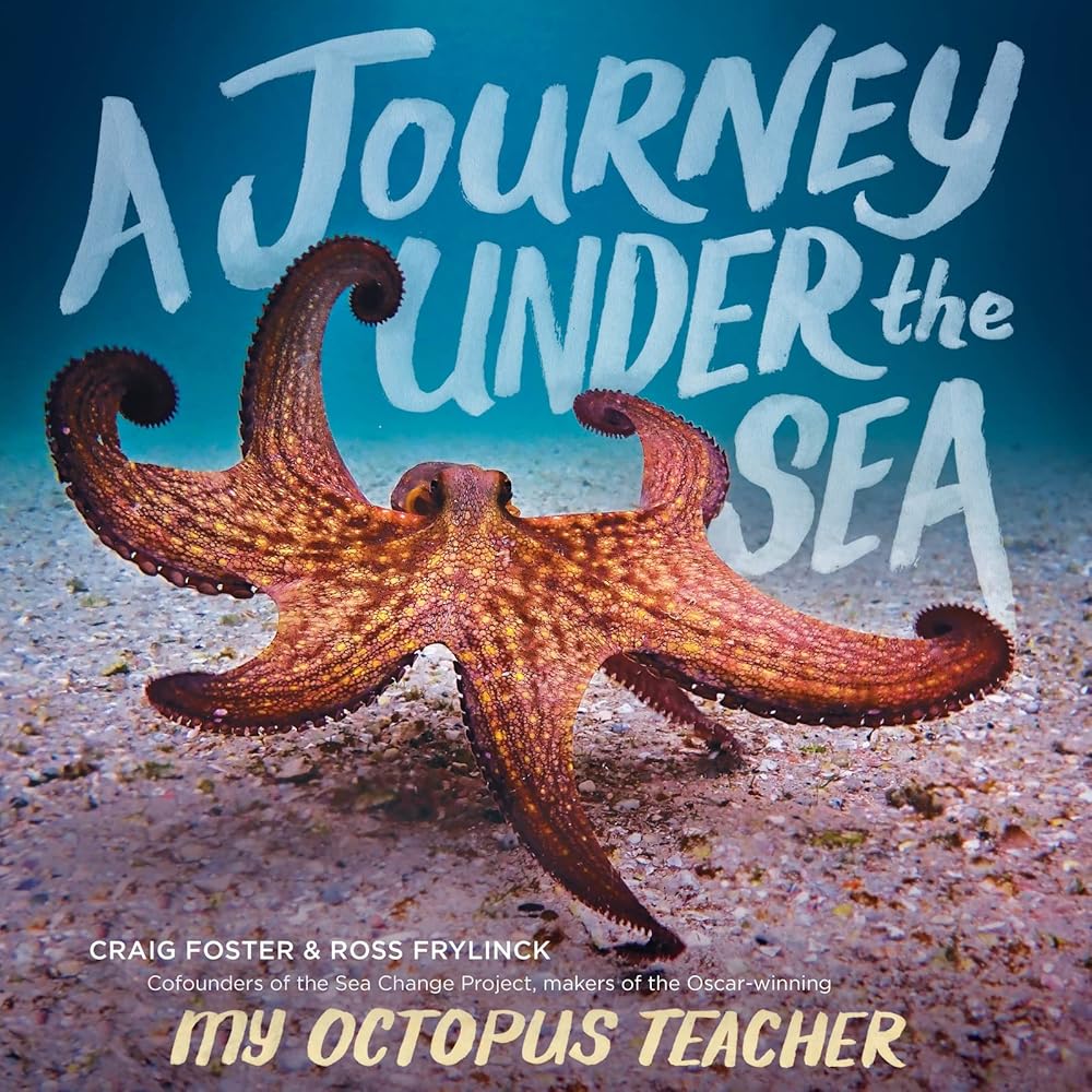 A Journey Under the Sea cover image