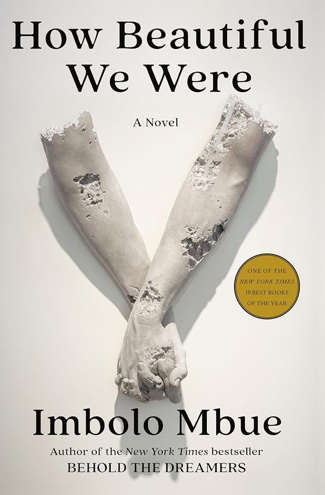 How Beautiful We Were: A Novel cover image