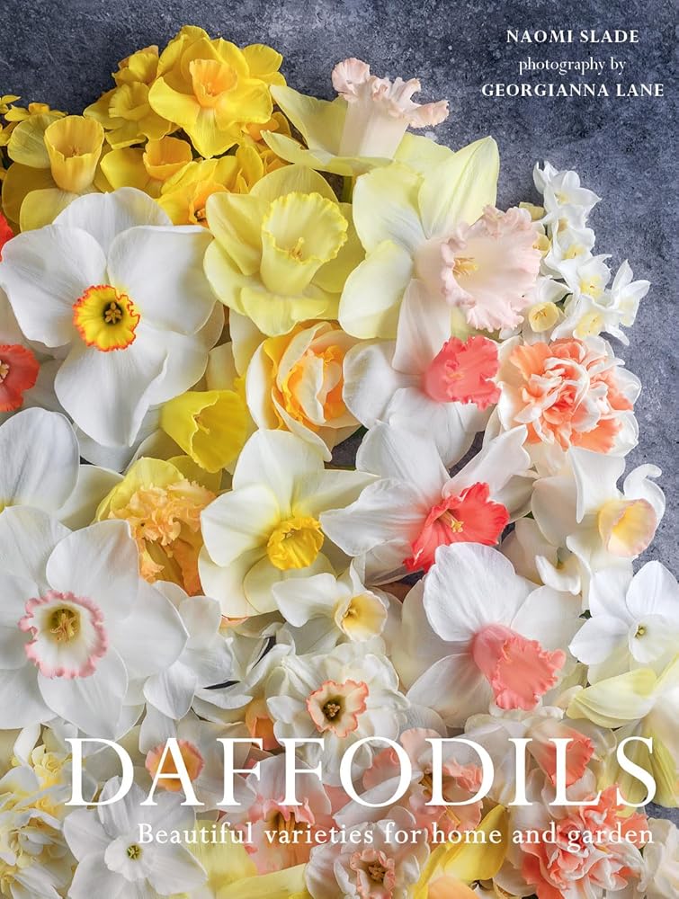 Daffodils: Beautiful Varieties for Home and Garden cover image