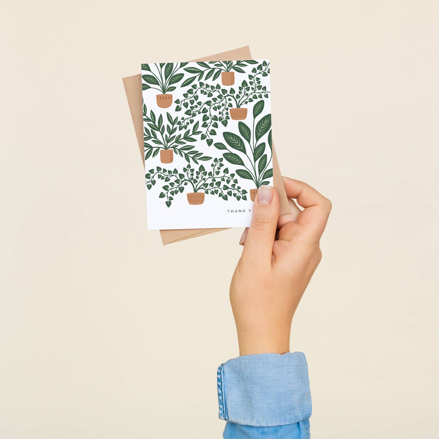 "Thank You" Houseplants / Thank You / BOX SET OF 8