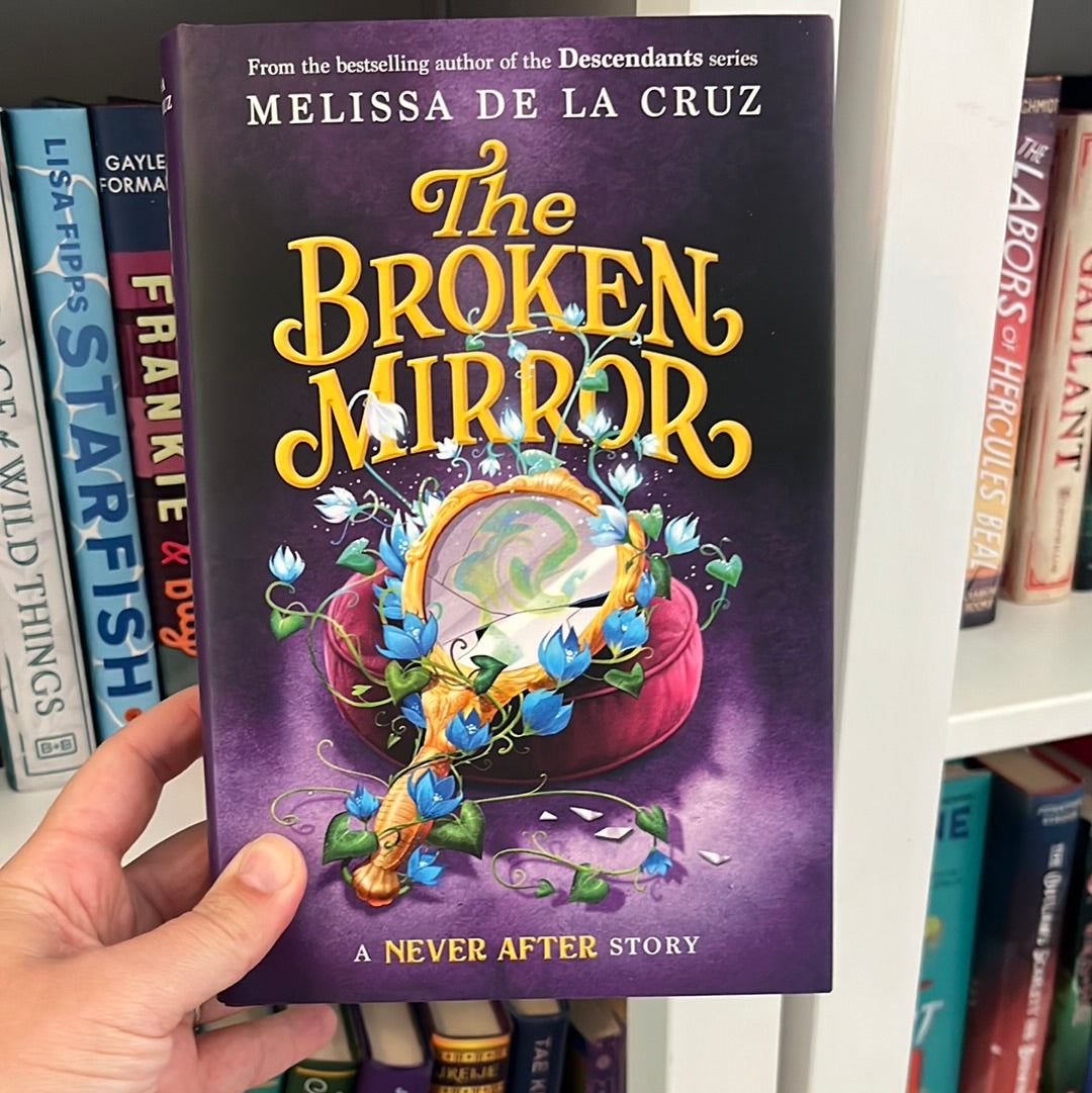The Broken Mirror: A Never After Story